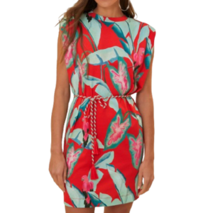 Farm Rio Red Summer Cotton T-Shirt Dress