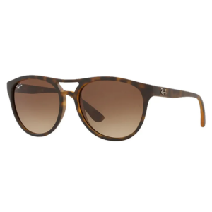 Ray-Ban Men's RBBR Sunglasses
