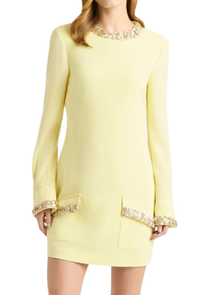 Cinq a Sept Adi Floral Embellished Mini Dress