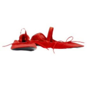 Proenza Schouler Mary Jane Flats