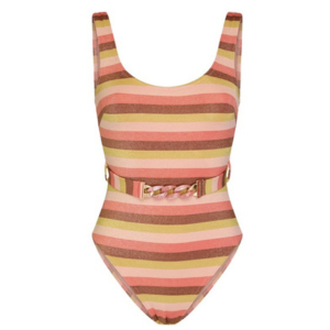 Zimmermann Striped Swimsuit