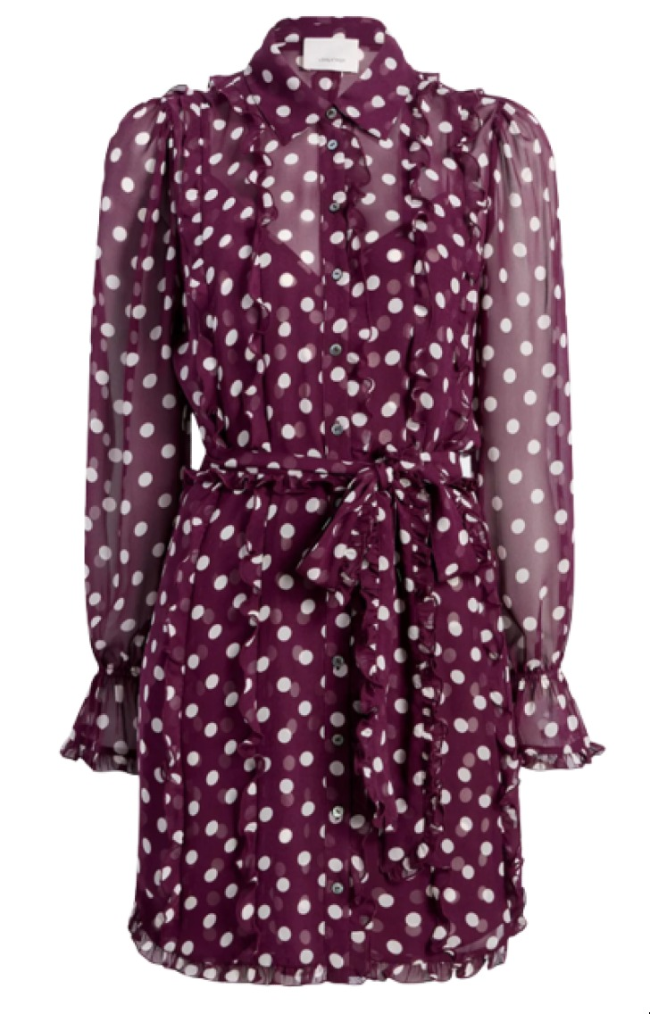 Cinq a Sept Estelle Camille Polka Dot Mini Shirtdress